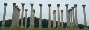 Corinthian Columns.jpg